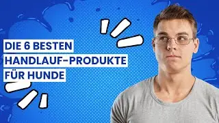 Handlauf f&uuml;r Hunde: Die 6 besten Handlauf-Produkte f&uuml;r Hunde ✅