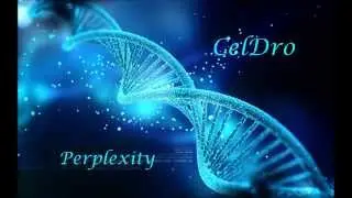 CelDro - Perplexity
