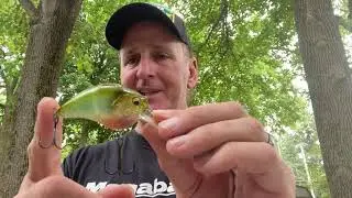 The Three Megabass Lures Pros Don’t Want You To Know About!
