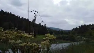 Усть - Кабырза. Земля где тоже  растёт курай.Gornaya Shoriya - the land where kurai also grows.