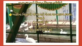 શૈક્ષણિક પ્રવાસ -પોઇચા (શ્રી અનુદાનિત નિવાસી પ્રા. શાળા -બાઢડા )#Tour poicha #education #youtube 