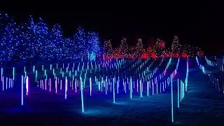 Blossoms of Light, Denver Botanic Gardens 2024