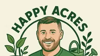 Gloomy day at the Allotment / Royal Mail lose my seeds delivery rant 