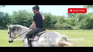 Tips de equitación #caballos #equitación #horse #entrenamientodecaballos