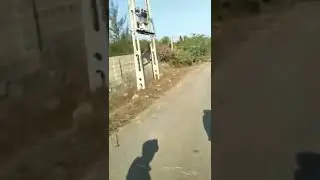 Tiger attack on biker on road #shorts #respect #viral