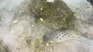 SARSOO KA SAAG 😋