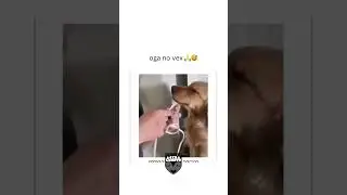 #ComedyVideos #FunnyGhana  #ViralVideos #TrendingNow #FunnyContent #FollowForLaughd #RelatableHumor