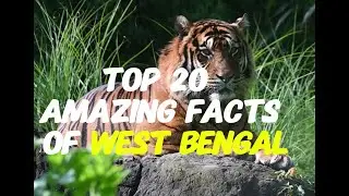 Timeless Trails: TOP 20 AMAZING FACTS OF WEST BENGAL