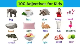 100 Adjectives with Example Sentences | Fun & Easy English Vocabulary for Kids