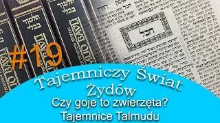Tajemnice Talmudu - Czy goje to zwięrzęta - Tajemniczy Świat Żyd&oacute;w #19