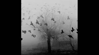 Ambient + Angelic + Emotional Type Beat - Running Rain