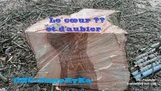 CNC-PapyKyKa 12-14 D&eacute;montage H&ecirc;tre 12