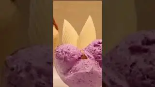 Chaudhary Kulfa Dairy Ice Cream Point