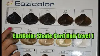 EaziColor Shade Card Hair Level 1 Guaid Line ||By The Stylish Mod
