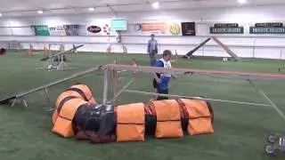 Vekara Agility , Griffon bruxellois , P&auml;hkin&auml;
