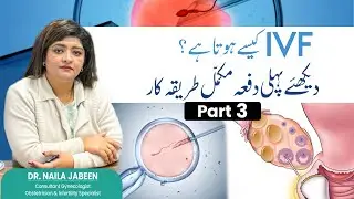 IVF Process Step by Step Dr Naila Jabeen part 3