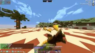 kohi / New Introo