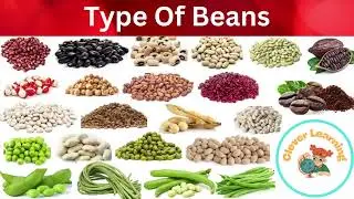 Type Of Beans