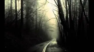 Weerd Science - Steady Straight Lights/Sudden Dark Turns