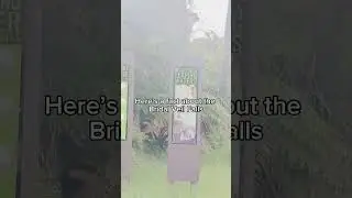Bridal Veil Falls Vlog | #lifeinnz