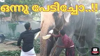 UTTOLY ANANDAN l ഒന്നു പേടിച്ചോ....!!