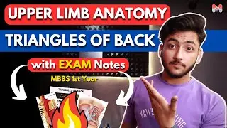Upper Limb Anatomy - Triangles of Back | MBBS 1st Year| Explanation With Notes-MBBS World