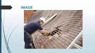 Best Roof Repairs in Stepaside