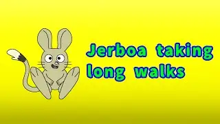 Jerboa taking long walks (animation/fixed audio)