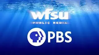 WFSU Public Media/American Public Television (2019)