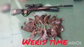 Hanya untuk yg hobi berburu (Foto dan video berburu )