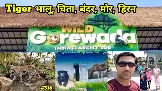 Gorewada Zoo Nagpur Vlog || International Balasaheb Thackeray Zoo Nagpur || गोरेवाड़ा चिड़ियाघर 2024