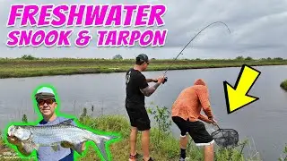 Bad Fishing Days! Snook & Tarpon