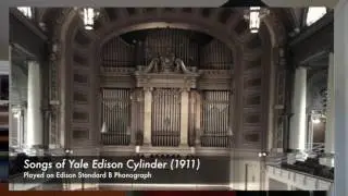 'Songs Of Yale' Edison Amberol Cylinder 813 (1911)