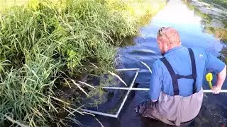 Сачок 