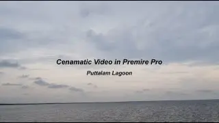 Cenematic Video in PremirePro