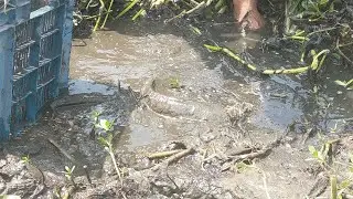 Best Fishing video 2022 Amazing Hand fishing in Small boy