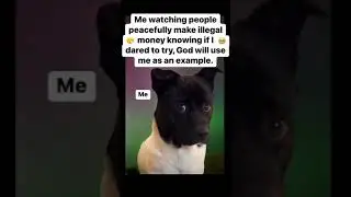 FUNNIEST QUOTES EVER #FUNNY #GOD #MONEY #DOGS #hairstyle #VIRAL