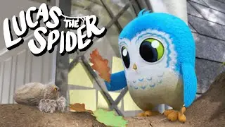 Arlo Discovers The Season of Fall | Kids Cartoon | Lucas The Spider