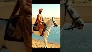 #song #viral #rajasthani #love #rajthani #rajasthaniclture #bride #rajputiswag #couple