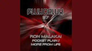 Pocket Plain (Original Mix)