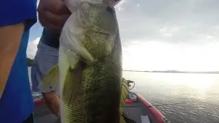 FUnkeEeeeE Fisherman takes his Bull Shad to Sooner Lake Oklahoma