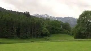 Sunbird fliegt über Wiese und Wald