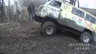 MVIV0028