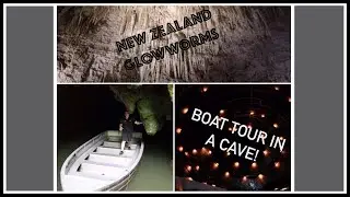 GLOWWORM Boat Cave Tour in New Zealand!