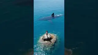Frightening Drone Video 😱 Great White Behind Unaware Lady #Drone #Shark