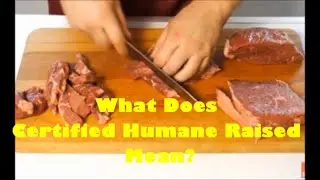 What Does Certified Humane Raised Mean?🐮🦃🐑