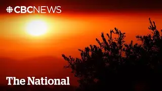 2025 was 3rd hottest year ever recorded: climate data
