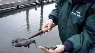 Essence of Harbor ~ The Dock Doctor Reveals