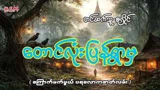 တောင်လုံးပြန်ရွာမှ​ပရလောက#horror #ghost #myanmar 