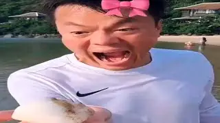 ultimate try not to laugh, you will fail
